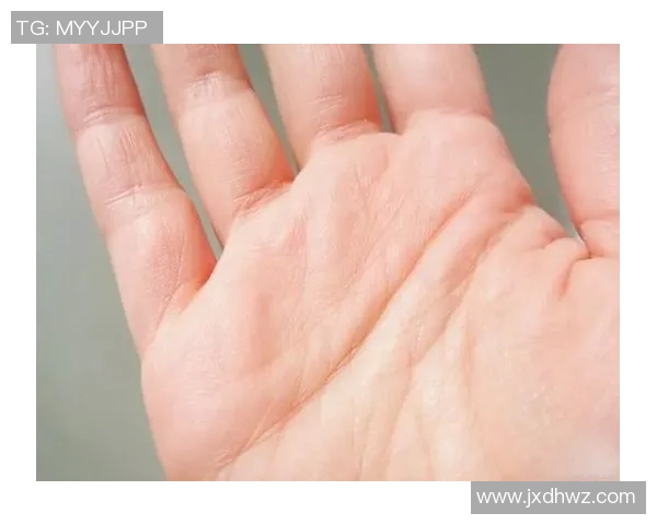 姚明手相解析揭秘篮球巨星的命运与人生轨迹