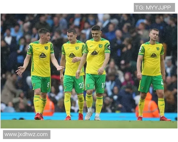 诺维奇足球明星阵容全解析及精彩瞬间图片分享 诺维奇足球明星阵容全解析及精彩瞬间图片分享